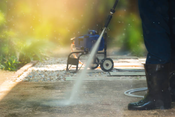 Best Animal Enclosure Cleaning  in Haynesville, LA